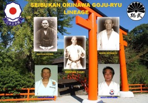 Seibukan Okinawa Goju Ryu Karate Lineage